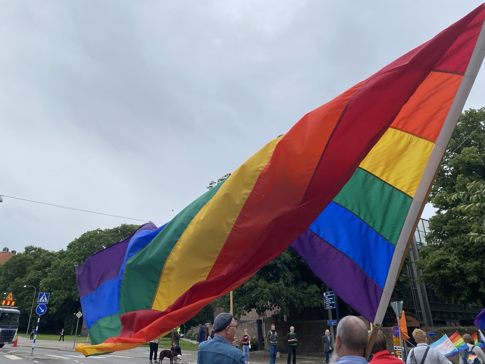 Du visar för närvarande Pride är politisk kamp för frihet och jämlikhet
